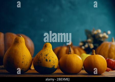 Herbstfarben Kürbisse und Äpfel auf Holztisch. Stockfoto