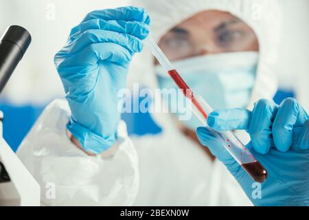 Selektiver Fokus des Biochemikers, der Blutproben aus dem Reagenzglas mit Pipette entnehmen kann Stockfoto