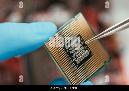 Nahaufnahme des Mikrochips und der Pinzette in den Händen des Ingenieurs Stockfoto