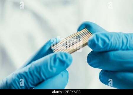 Zugeschnittene Ansicht des Ingenieurs in Gummihandschuhen, die den Mikrochip des Computers halten Stockfoto