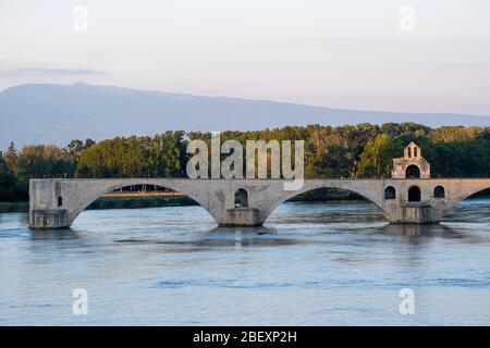 Pont St-Bénézet aka Pont d'Avignon Brücke, Avignon, Frankreich, Europa Stockfoto