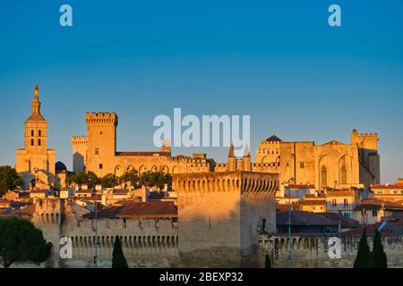 Palais des Papes aka Papstpalast in Avignon, Frankreich, Europa Stockfoto