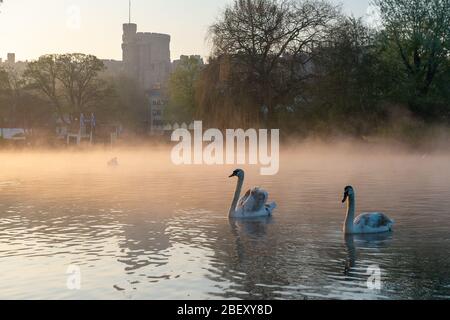 Eton, Windsor, Berkshire, Großbritannien. April 2020. Morgennebel nach einer kalten Nacht auf der Themse in Eton mit Blick auf Windsor Castle. Kredit: Maureen McLean/Alamy Live News Stockfoto