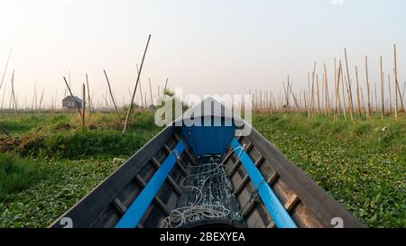 Bootsansicht Inle Lake, Myanmar. Sonnenaufgang Fahrt durch üppige Vegetation Sumpf. Über zwanzig Schneckenarten und neun Fischarten sind nicht gefunden Stockfoto