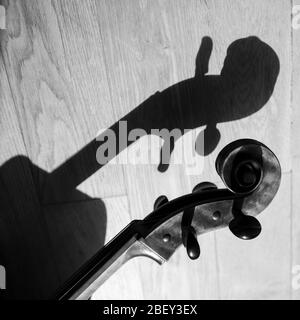 Schatten eines Cellos auf einem Holzboden Stockfoto