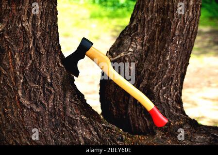 Eine schöne Axt ragt in einem Baum hervor, mit einem gelben Griff aus der Nähe, auf einem natürlichen Hintergrund Stockfoto