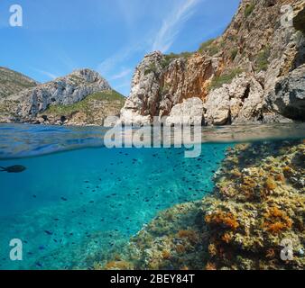 Mittelmeer Felsenküste in Spanien mit Fischen unter Wasser (damiselisti), Split-Blick über und unter der Wasseroberfläche, Costa Blanca, Javea, Alicante Stockfoto