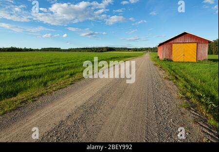 Straßenrand Werkzeugschuppen an einer leeren Straße, die durch Ackerland in der finnischen Landschaft führt , Finnland Stockfoto