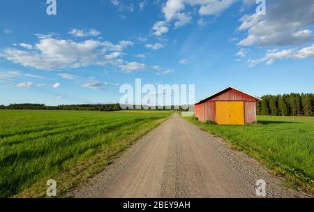 Straßenrand Werkzeugschuppen an einer leeren Straße, die durch Ackerland in der finnischen Landschaft führt , Finnland Stockfoto