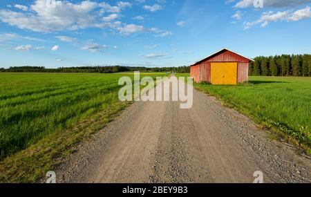 Straßenrand Werkzeugschuppen an einer leeren Straße, die durch Ackerland in der finnischen Landschaft führt , Finnland Stockfoto