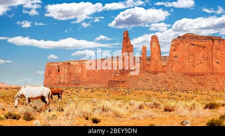 Wilde Pferde in Monument Valley, Utah, USA Stockfoto