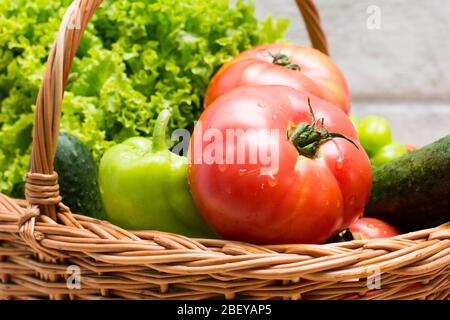 Frisches Gemüse mit Wassertropfen in den Korb gelegt. Bio-Tomaten, Gurken, Pfeffer und grüner Salat vom Markt. Frische Rohkost. Stockfoto