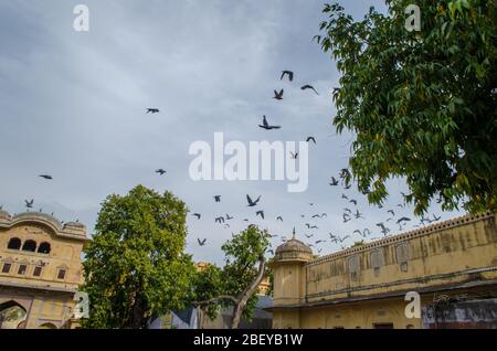 Touristische Orte von Jaipur in Rajasthan, Indien Stockfoto