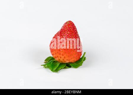 Erdbeere. Macro für frische Beeren. Isoliert auf weiß. Stockfoto