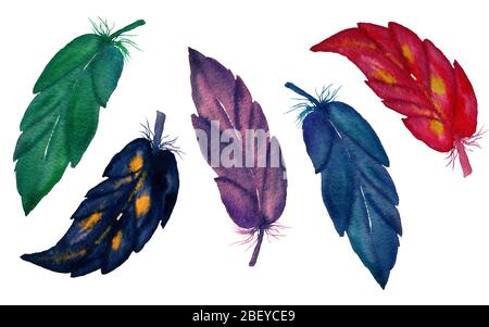Set von bunten Federn isoliert auf weiß, Aquarell Illustration mit handbemalten Federn Stockfoto