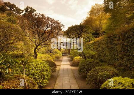 Garten am Kenchoji-Tempel, Kamakura, Präfektur Kanagawa, Großraum Tokio, Japan Stockfoto