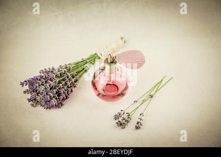 Vintage Parfüm Flasche mit Lavendel Aroma. Lavendel beruhigendes Aroma-Duftkonzept auf hellbeigem Hintergrund mit frischem Lavendelbukett. Stockfoto