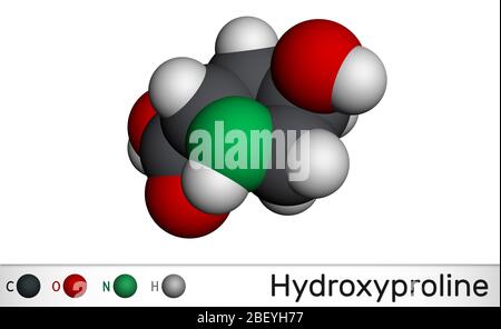 Hydroxyprolin, Hyp, C5H9NO3-Molekül. Es ist eine gemeinsame proteinogene Aminosäure und ein wichtiger Bestandteil des Proteins Kollagen. Molekulares Modell. 3D Stockfoto