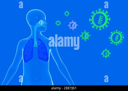 3D-Darstellung der vereinfachten menschlichen Anatomie mit dem menschlichen Atmungssystem und den Viren und Bakterien, die in sie eindringen können. Stockfoto