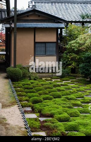 Moderner Zen-Moos-Garten Tōfuku-ji-Tempel, 15-Chōme 778 Honmachi, Higashiyama-ku, Kyōto, Kyoto Präfektur von Mirei Shigemori Stockfoto