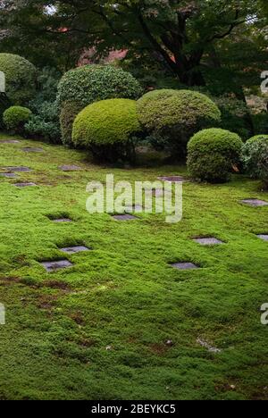 Moderner Zen-Moos-Garten Tōfuku-ji-Tempel, 15-Chōme 778 Honmachi, Higashiyama-ku, Kyōto, Kyoto Präfektur von Mirei Shigemori Stockfoto