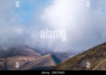 Kaukasus, Georgien, Tusheti Region, Omalo. Eine Herde von Ziegen grasen Gras auf einem Berghang Stockfoto