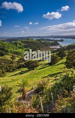 Kawau Bay, Blick über Hügel in der Nähe von Snells Beach, Mahurangi Peninsula, Auckland Region, Nordinsel, Neuseeland Stockfoto