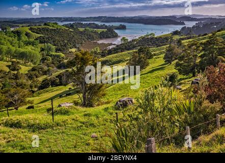 Kawau Bay, Blick über Hügel in der Nähe von Snells Beach, Mahurangi Peninsula, Auckland Region, Nordinsel, Neuseeland Stockfoto