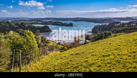 Kawau Bay, Blick über Hügel in der Nähe von Snells Beach, Mahurangi Peninsula, Auckland Region, Nordinsel, Neuseeland Stockfoto