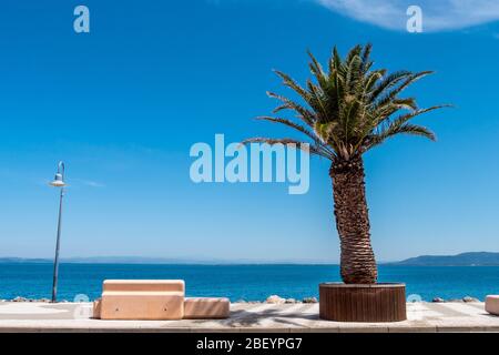 Bank und Palm am Meer in Porto Santo Stefano Dorf in einem sonnigen Tag mit schönen blauen Himmel. Porto Santo Stefano, Grosseto, Toskana, Italien. Stockfoto