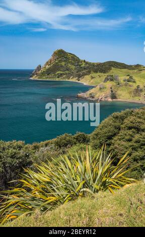 Fletcher Bay, Sugar Loaf und die Pinnacles in der Ferne, Blick von der Fletcher Bay Road, Coromandel Peninsula, Waikato Region, Nordinsel, Neuseeland Stockfoto