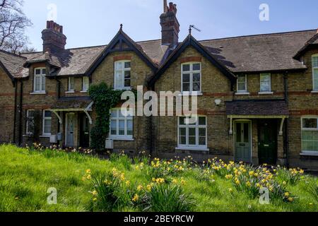 Reihe von viktorianischen Reihenhäusern, Chislehurst, Kent, Großbritannien. Stockfoto