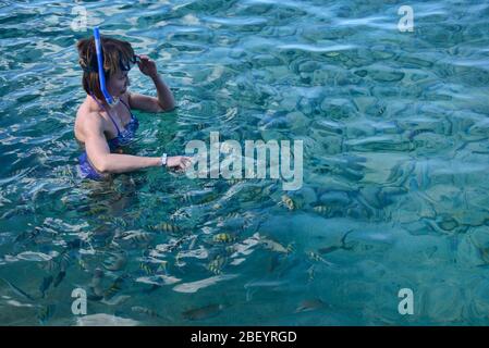 Schnorcheln in Caleta Buena, Playa Giron, Kuba Stockfoto