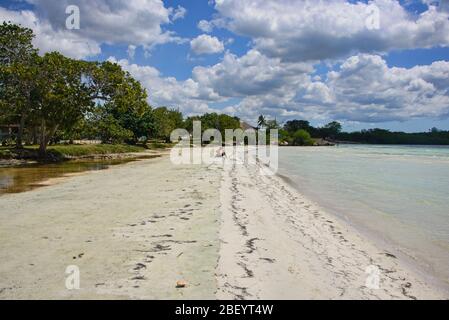 Wunderschönes karibisches Meer in exquisiter Caleta Buena, Playa Giron, Kuba Stockfoto