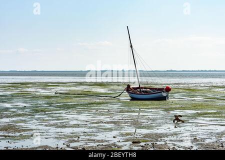 Boot im Wattenmeer bei Ebbe, Hallig Hooge, Nordfriesland, Schleswig-Holstein, Deutschland Stockfoto