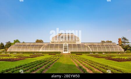 Das viktorianische Palmenhaus in Kew Gardens, London, England Stockfoto