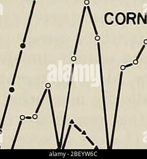 „effiziente Nutzung von Stickstoff auf Ernteflächen im Nordosten“ (1980) Stockfoto