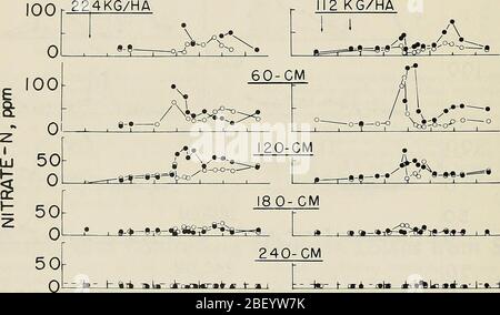 „effiziente Nutzung von Stickstoff auf Ernteflächen im Nordosten“ (1980) Stockfoto