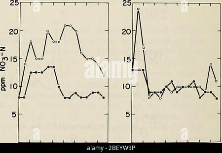 „effiziente Nutzung von Stickstoff auf Ernteflächen im Nordosten“ (1980) Stockfoto