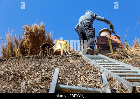 Strohdach, Reife Erwachsene, Stroh, Gebäude - Aktivität, Gebäude Außen, Bauindustrie, Haus, Reparatur, Dachdecker, Dachdecker, Aktivität, Stockfoto