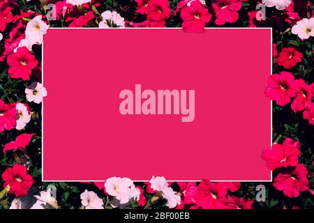 Kreatives Layout aus rosa und weißen Blumen mit Papier-Karte Note. Flaches Lay. Naturkonzept Stockfoto