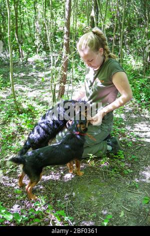 Tochter des Familienunternehmens Prodan Tartufi bei einer Trüffelsuche mit Hunden. Trüffel können von Hunden im Wald in der Nähe gerochen, gegraben und gefunden werden. Stockfoto