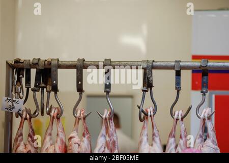 Bukarest, Rumänien - 16. April 2020: Lammkarkasse hängen an Eisenhaken zum Verkauf in einer rumänischen Metzgerei vor Ostern. Stockfoto
