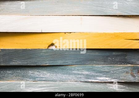 Bunt strukturierte Holzlatten in sanften Farben Gaumen Stockfoto