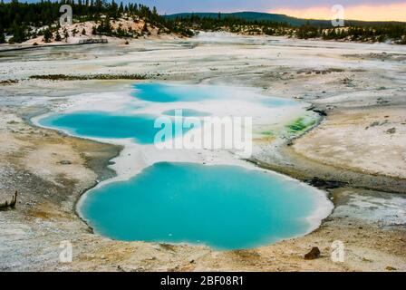 Sonnenuntergang über türkisfarbenen Pools im Norris Geyser Basin des Yellowstone National Park Stockfoto