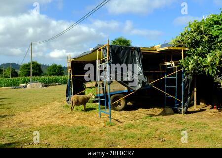 Einfache Garage auf einem Feld, camino de santiago, Spanien. Stockfoto