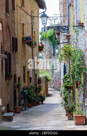 Colle di Val d'Elsa, Toskana / Italien: Eine malerische enge, kurvige Gasse mit typischen Häusern in der historischen Oberstadt Colle Alta. Stockfoto