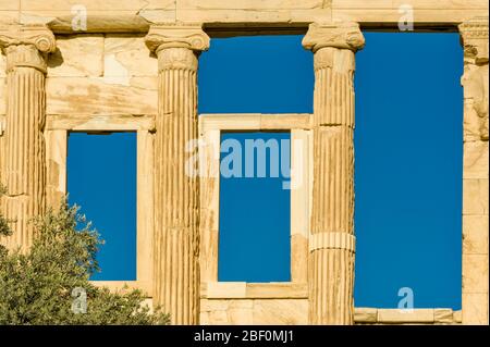 ATHEN, GRIECHENLAND – 26. Mai 2006: Der legendäre Olivenbaum des Pandroseion Stockfoto