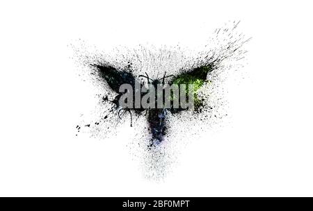 Schöne Schmetterling Silhouette mit bunten Raum Hintergrund innen, Nebel, Sterne und Galaxien mit Farbspritzern, Spritzer und Blots isoliert Stockfoto