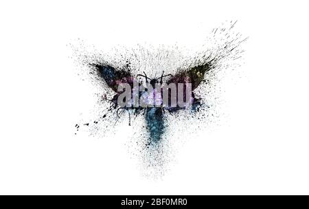 Schöne Schmetterling Silhouette mit bunten Raum Hintergrund innen, Nebel, Sterne und Galaxien mit Farbspritzern, Spritzer und Blots isoliert Stockfoto